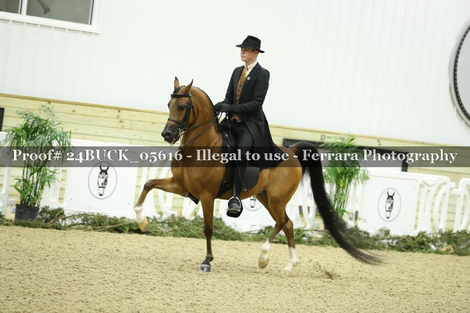 Proof 24BUCK_05616