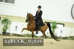 24BUCK_05616 proof