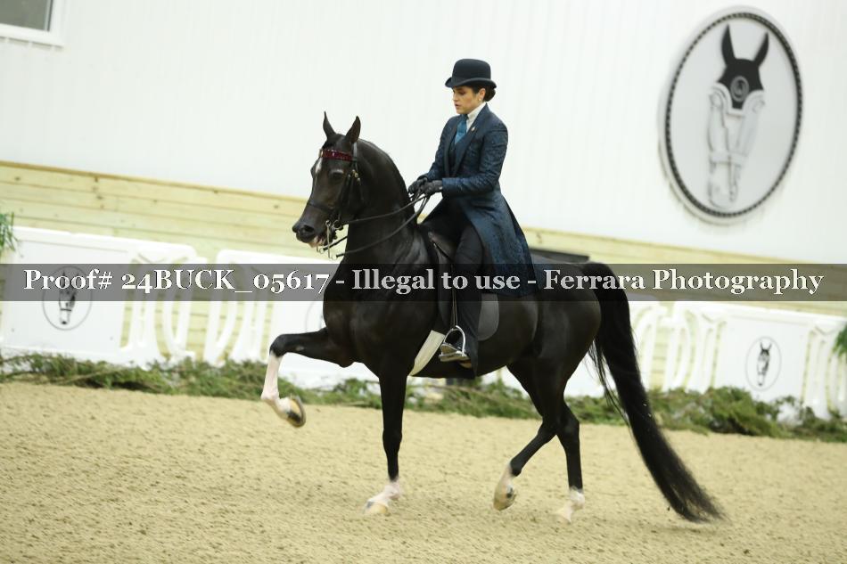 Proof 24BUCK_05617