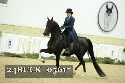 24BUCK_05617 proof
