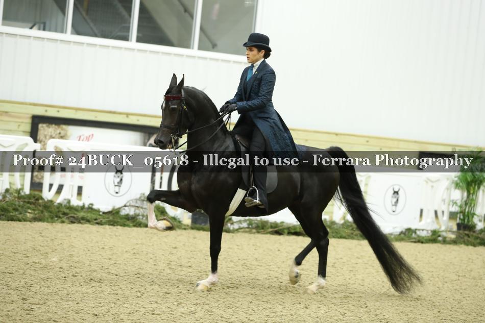 Proof 24BUCK_05618