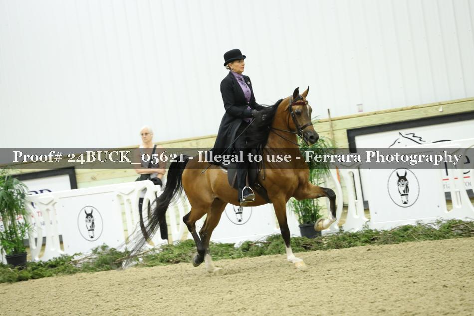 Proof 24BUCK_05621