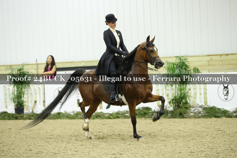 Proof 24BUCK_05631
