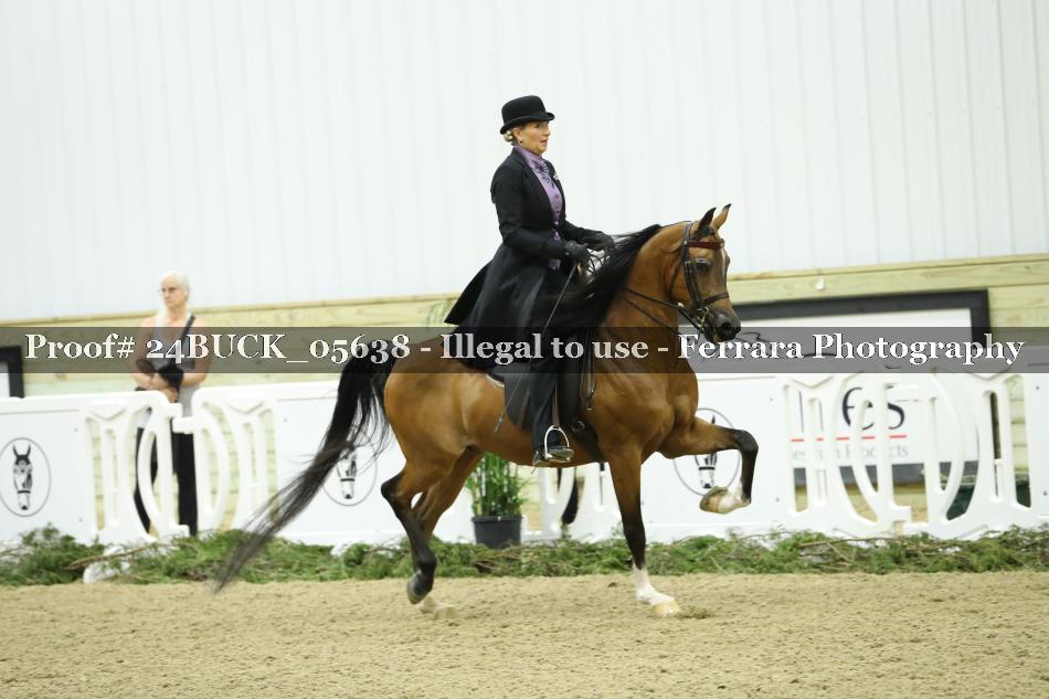 Proof 24BUCK_05638