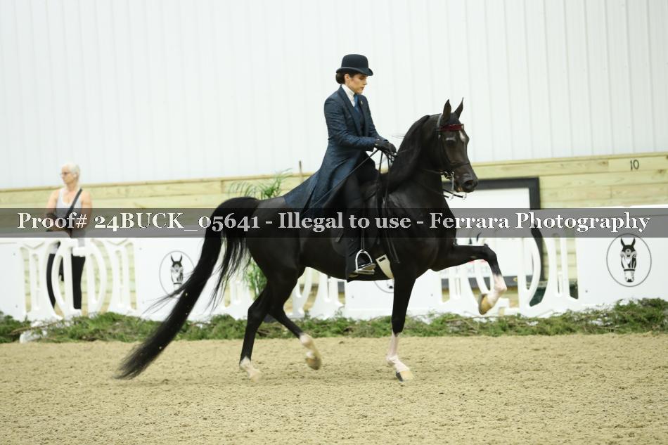 Proof 24BUCK_05641