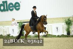 24BUCK_05642 proof