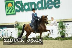 24BUCK_05645 proof