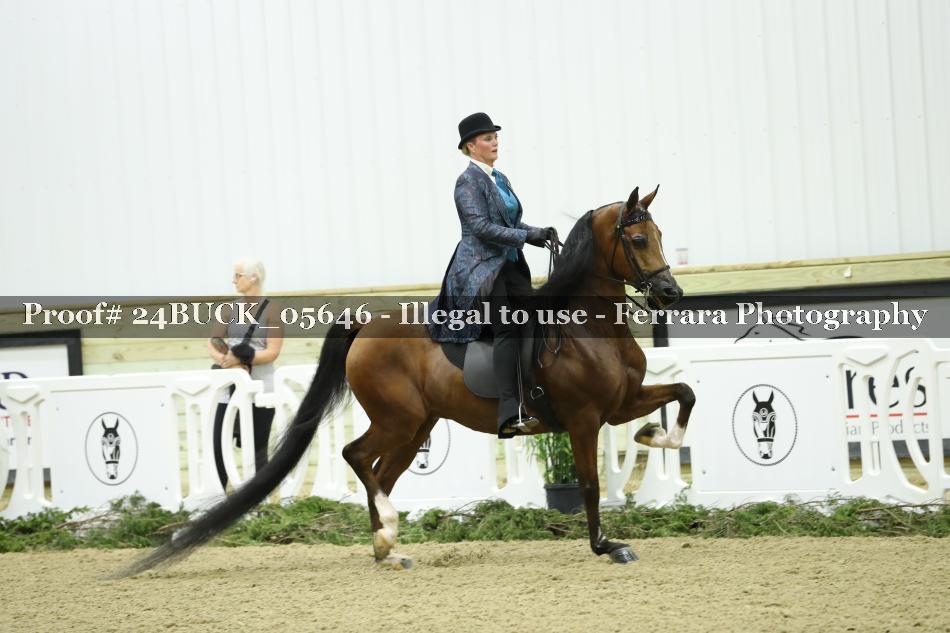 Proof 24BUCK_05646