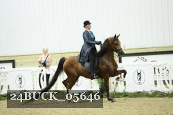 24BUCK_05646 proof