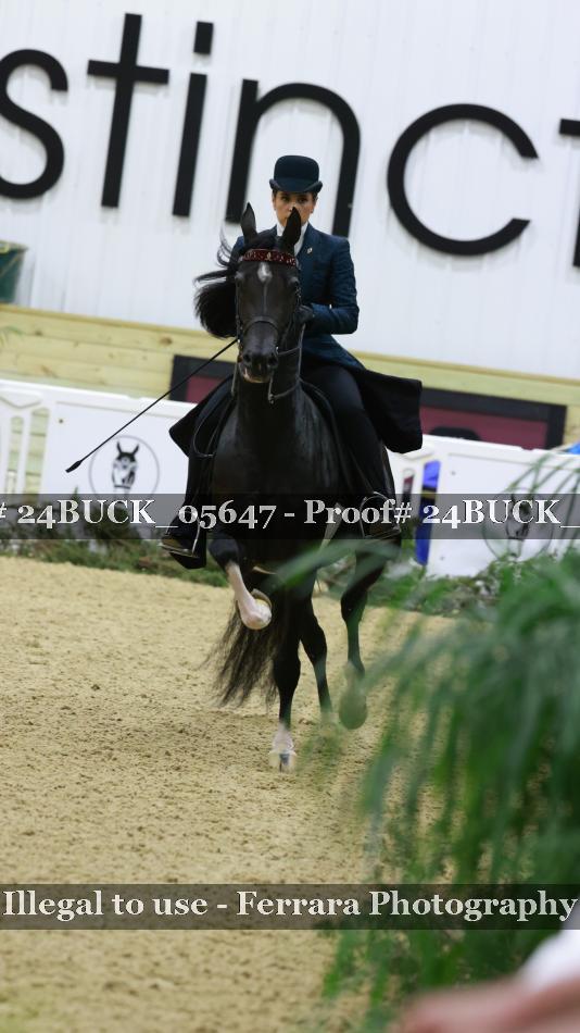 Proof 24BUCK_05647