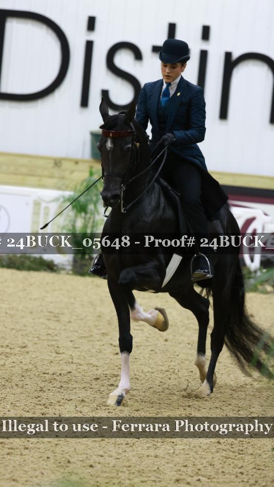Proof 24BUCK_05648