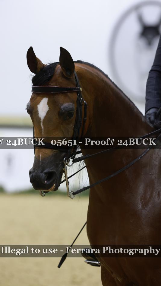 Proof 24BUCK_05651
