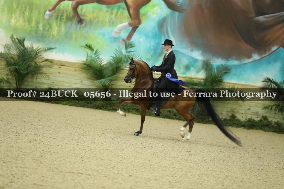 Proof 24BUCK_05656