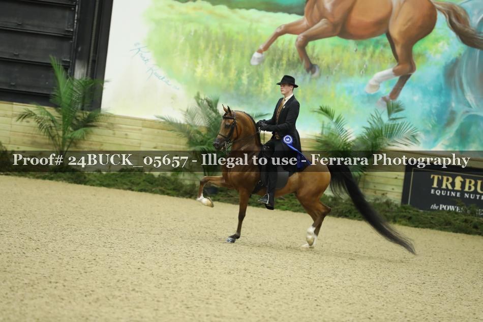 Proof 24BUCK_05657