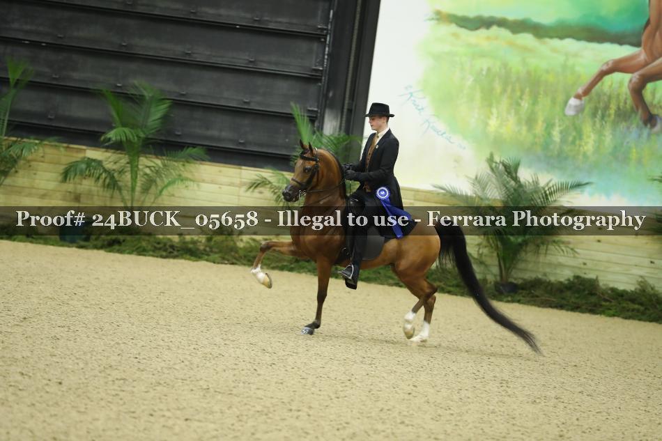 Proof 24BUCK_05658