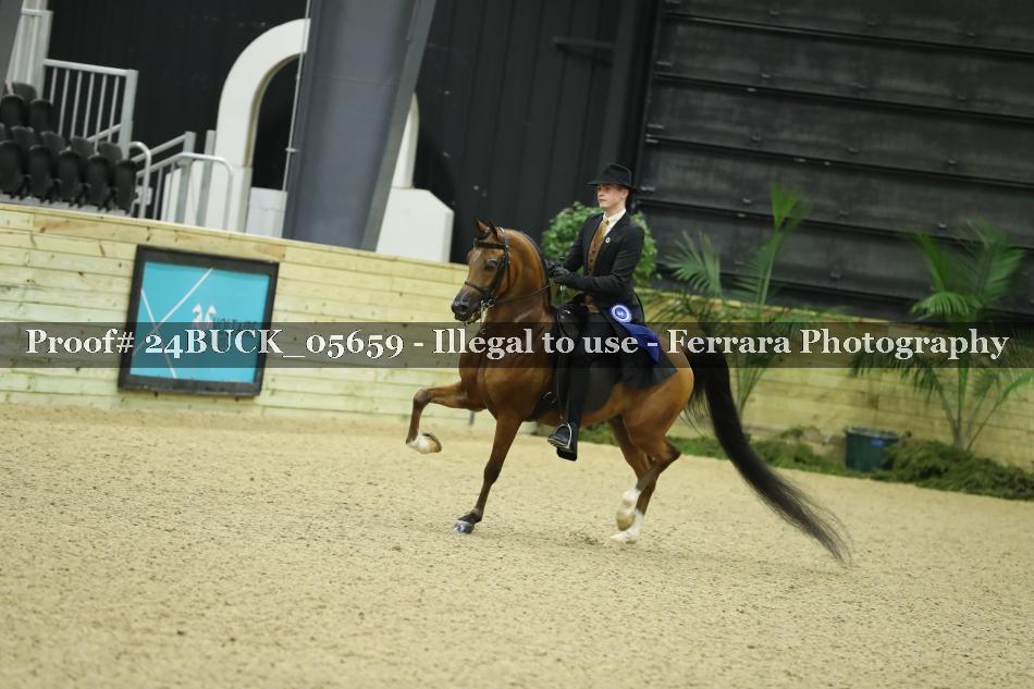 Proof 24BUCK_05659