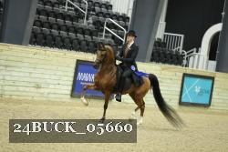 24BUCK_05660 proof