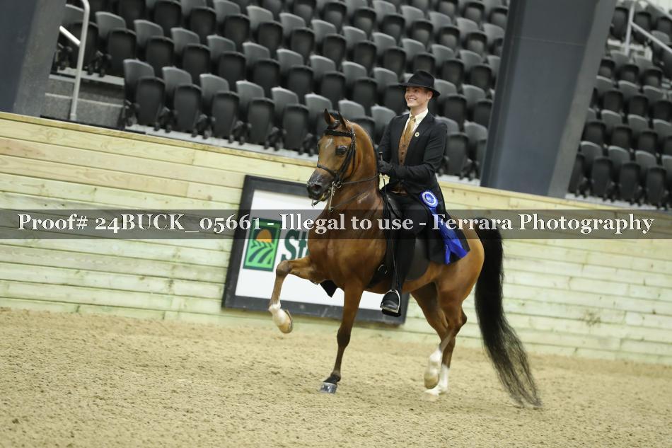 Proof 24BUCK_05661