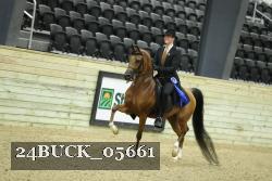 24BUCK_05661 proof