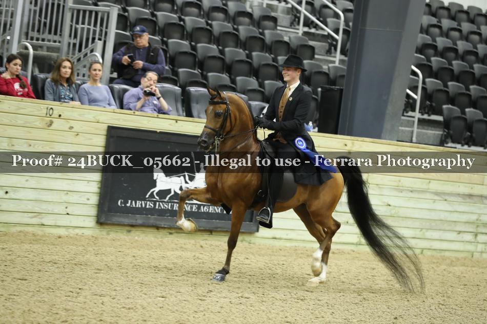 Proof 24BUCK_05662