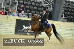 24BUCK_05662 proof