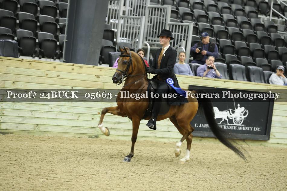 Proof 24BUCK_05663