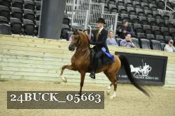 24BUCK_05663 proof