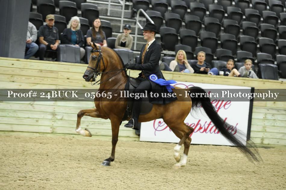 Proof 24BUCK_05665