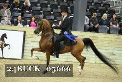 24BUCK_05666 proof