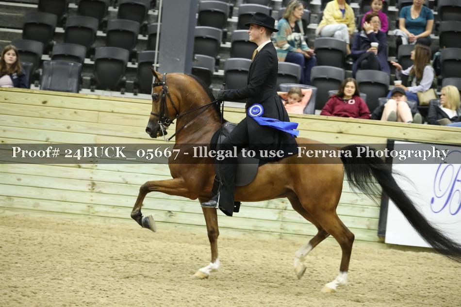 Proof 24BUCK_05667