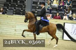 24BUCK_05667 proof