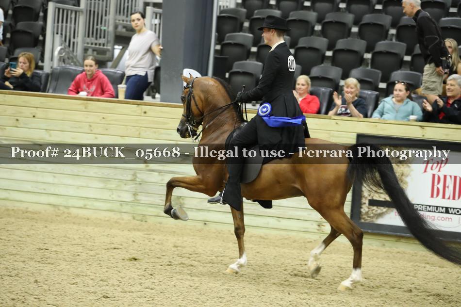 Proof 24BUCK_05668