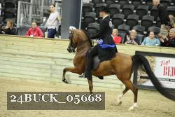 24BUCK_05668 proof