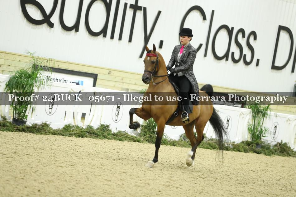 Proof 24BUCK_05671