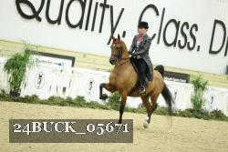 24BUCK_05671 proof