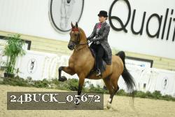 24BUCK_05672 proof