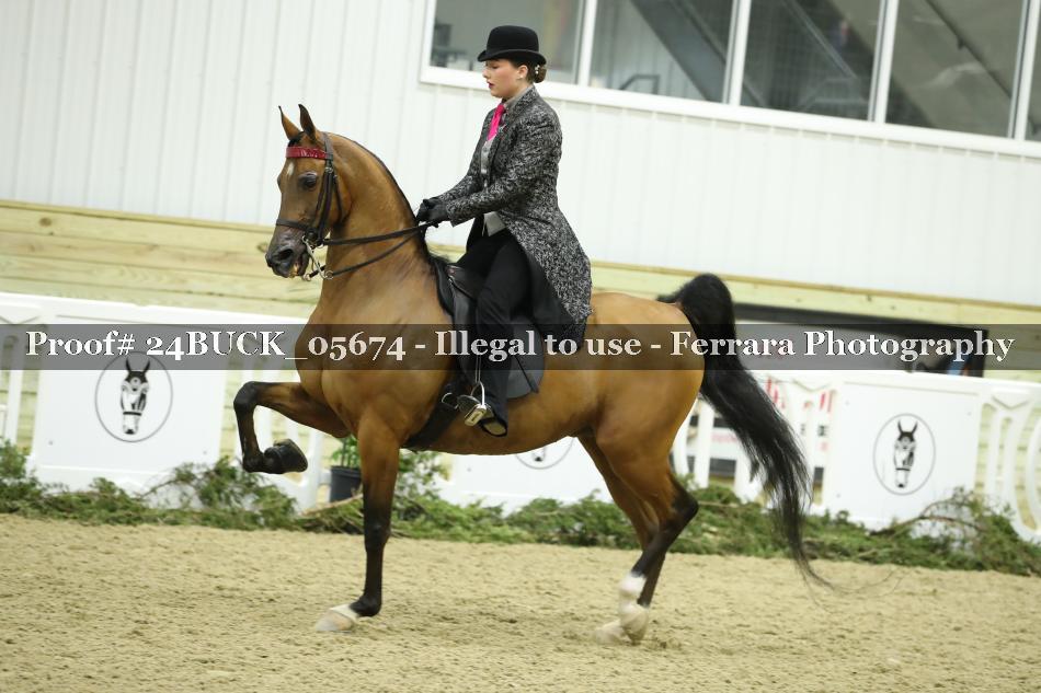 Proof 24BUCK_05674
