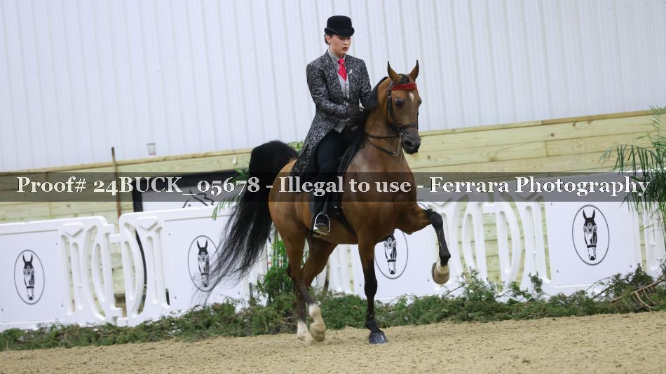 Proof 24BUCK_05678