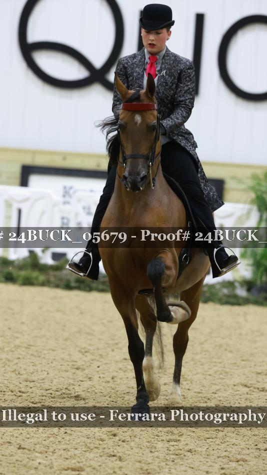 Proof 24BUCK_05679