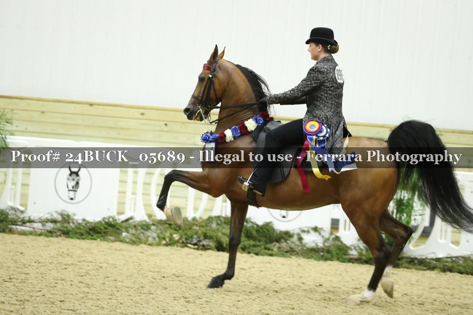 Proof 24BUCK_05689