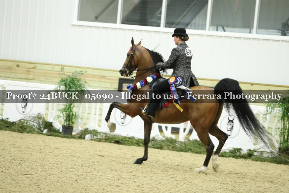 Proof 24BUCK_05690