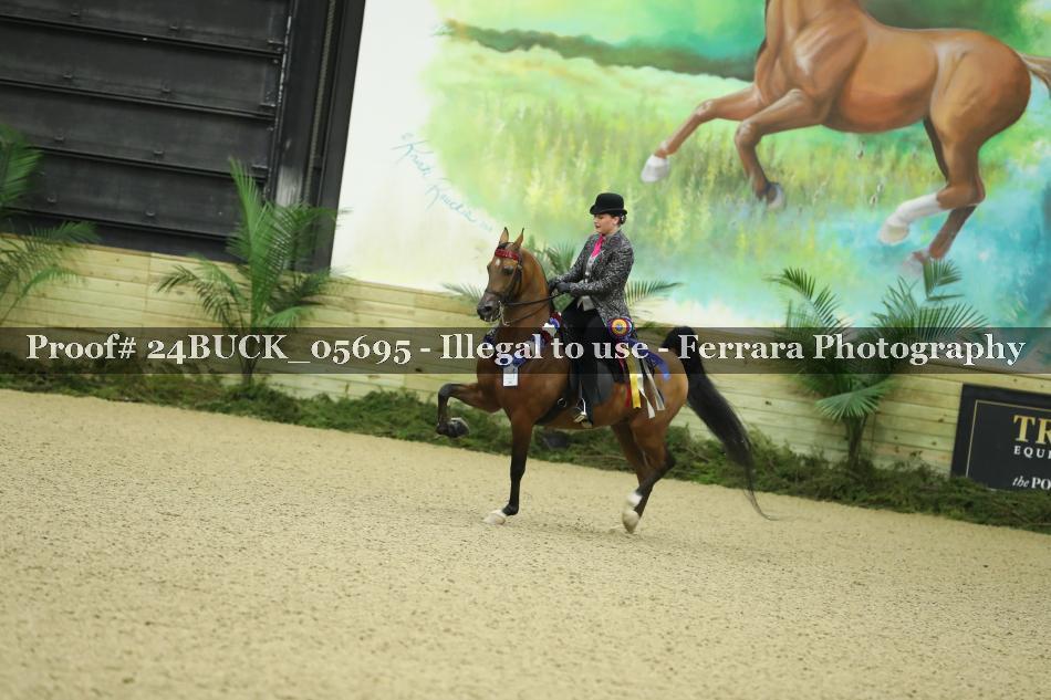 Proof 24BUCK_05695