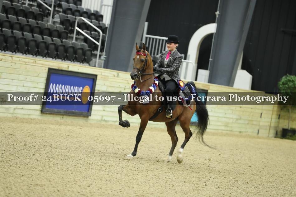 Proof 24BUCK_05697