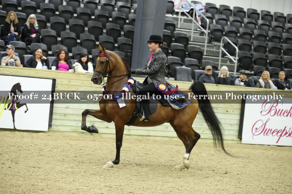Proof 24BUCK_05701