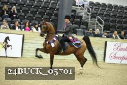 24BUCK_05701 proof