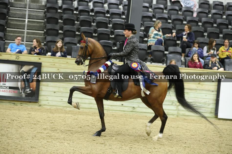 Proof 24BUCK_05705