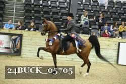 24BUCK_05705 proof