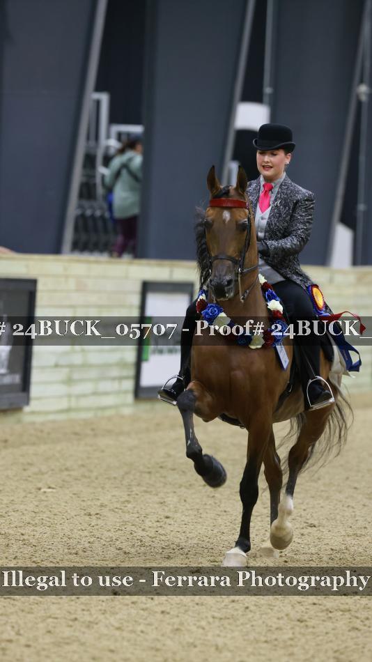 Proof 24BUCK_05707