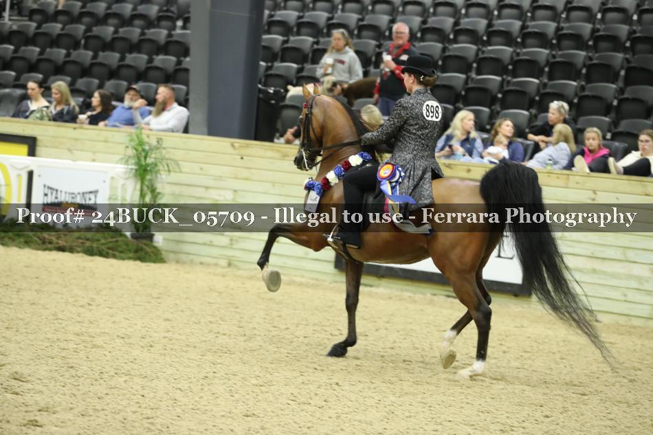 Proof 24BUCK_05709