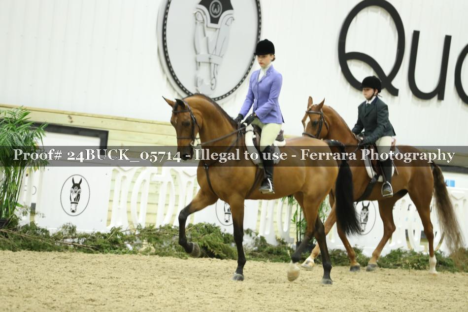 Proof 24BUCK_05714